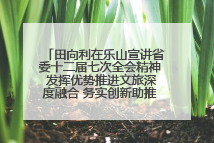 田向利在乐山宣讲省委十二届七次全会精神 发挥优势推进文旅深度融合 务实创新助推高质量发展