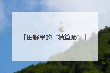 田野里的“精算师”