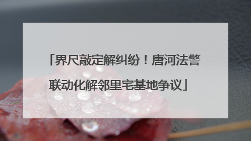 界尺敲定解纠纷！唐河法警联动化解邻里宅基地争议