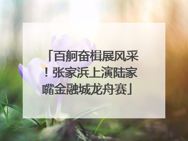百舸奋楫展风采！张家浜上演陆家嘴金融城龙舟赛