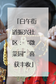 白午街道振兴社区：“微菜园”喜获丰收