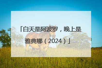 白天是阿波罗，晚上是雅典娜（2024）