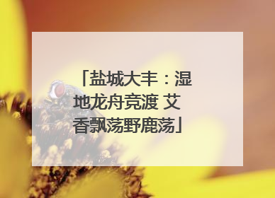 盐城大丰：湿地龙舟竞渡 艾香飘荡野鹿荡