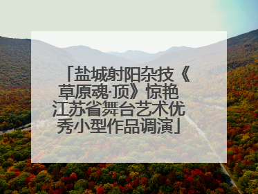 盐城射阳杂技《草原魂·顶》惊艳江苏省舞台艺术优秀小型作品调演
