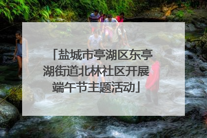 盐城市亭湖区东亭湖街道北林社区开展端午节主题活动