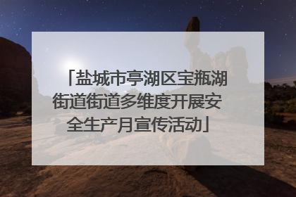 盐城市亭湖区宝瓶湖街道街道多维度开展安全生产月宣传活动