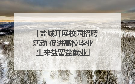 盐城开展校园招聘活动 促进高校毕业生来盐留盐就业