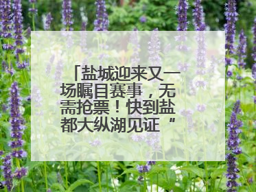 盐城迎来又一场瞩目赛事，无需抢票！快到盐都大纵湖见证“铁人”诞生