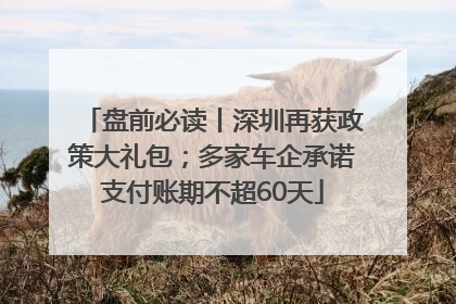 盘前必读丨深圳再获政策大礼包；多家车企承诺支付账期不超60天