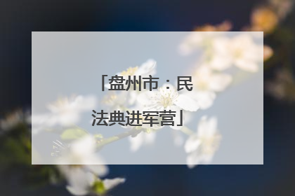 盘州市：民法典进军营