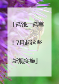 省钱、省事！7月起这些新规实施