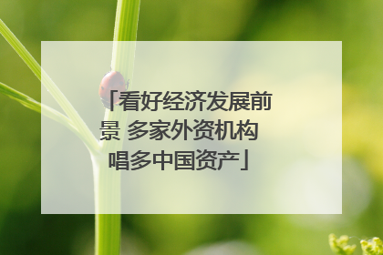 看好经济发展前景 多家外资机构唱多中国资产