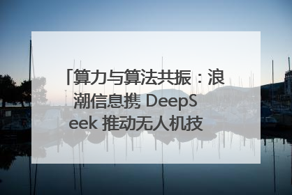 算力与算法共振：浪潮信息携 DeepSeek 推动无人机技术在舟山落地