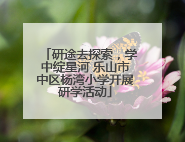 研途去探索，学中绽星河 乐山市中区杨湾小学开展研学活动