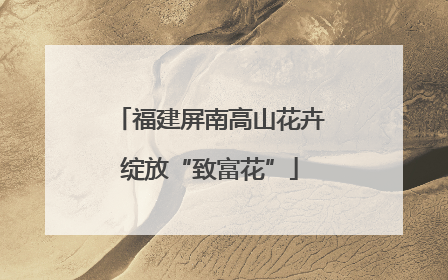 福建屏南高山花卉绽放“致富花”