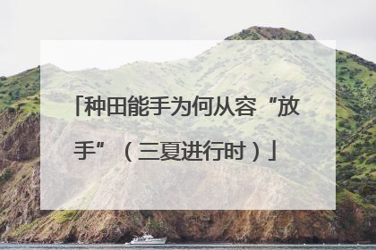 种田能手为何从容“放手”（三夏进行时）