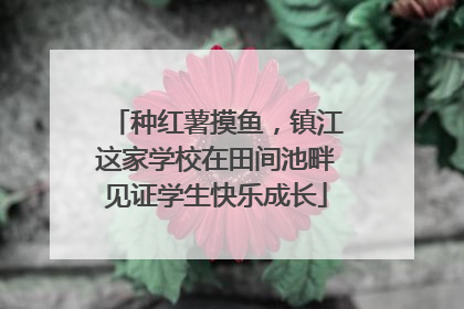 种红薯摸鱼，镇江这家学校在田间池畔见证学生快乐成长