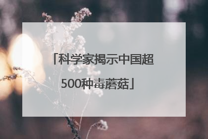 科学家揭示中国超500种毒蘑菇
