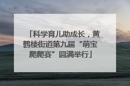 科学育儿助成长，黄鹤楼街道第九届“萌宝爬爬赛”圆满举行
