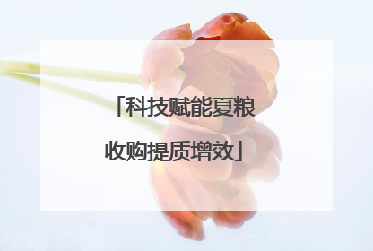 科技赋能夏粮收购提质增效