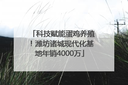 科技赋能蛋鸡养殖！潍坊诸城现代化基地年销4000万