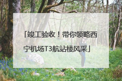 竣工验收！带你领略西宁机场T3航站楼风采