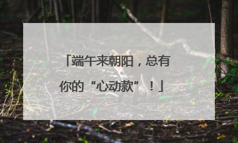 端午来朝阳，总有你的“心动款”！