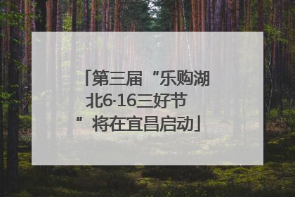 第三届“乐购湖北6·16三好节”将在宜昌启动