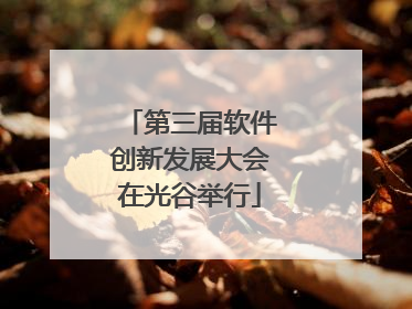 第三届软件创新发展大会在光谷举行