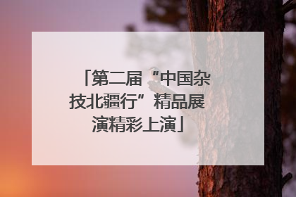 第二届“中国杂技北疆行”精品展演精彩上演