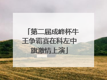 第二届成峰杯牛王争霸赛在科左中旗激情上演