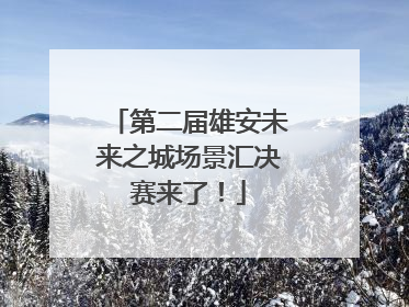 第二届雄安未来之城场景汇决赛来了！