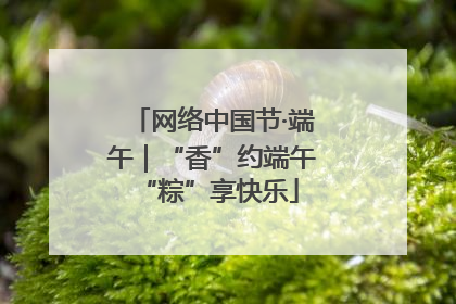 网络中国节·端午｜“香”约端午 “粽”享快乐