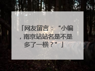 网友留言：“小编，南京站站名是不是多了一横？”