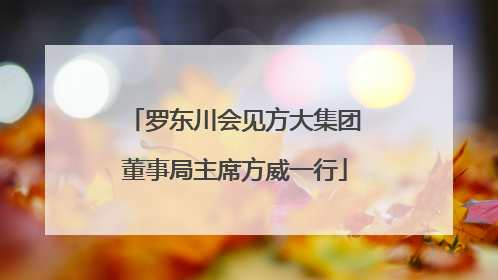 罗东川会见方大集团董事局主席方威一行