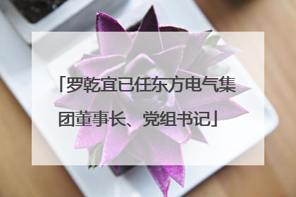 罗乾宜已任东方电气集团董事长、党组书记