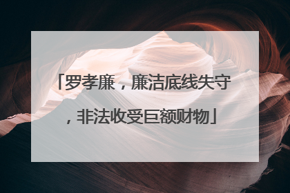 罗孝廉，廉洁底线失守，非法收受巨额财物