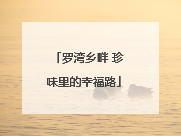 罗湾乡畔 珍味里的幸福路
