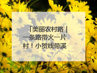 美丽农村路｜一条路带火一片村！小贺线带溪望谷成团出道