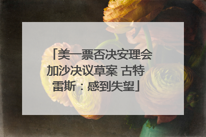 美一票否决安理会加沙决议草案 古特雷斯：感到失望