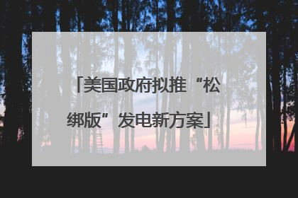 美国政府拟推“松绑版”发电新方案