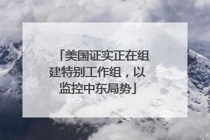 美国证实正在组建特别工作组，以监控中东局势