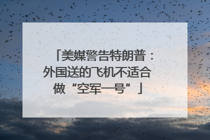 美媒警告特朗普：外国送的飞机不适合做“空军一号”