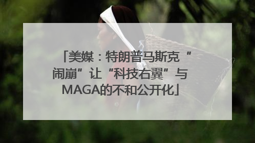 美媒：特朗普马斯克“闹崩”让“科技右翼”与MAGA的不和公开化