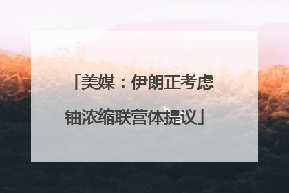 美媒：伊朗正考虑铀浓缩联营体提议