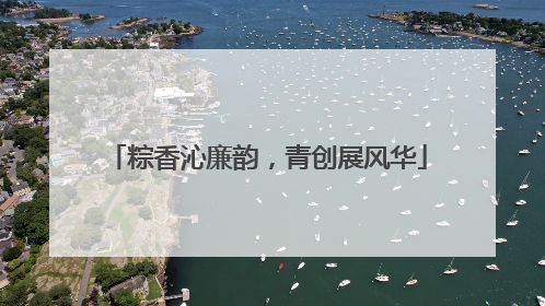 粽香沁廉韵，青创展风华