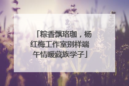 粽香飘珞珈，杨红梅工作室别样端午情暖藏族学子