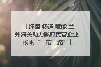 纾困 畅通 赋能 兰州海关助力陇原民营企业扬帆“一带一路”