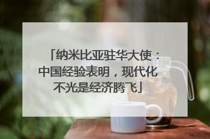 纳米比亚驻华大使：中国经验表明，现代化不光是经济腾飞
