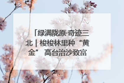 绿满陇原·奇迹三北｜梭梭林里种“黄金” 高台治沙致富很“从容”